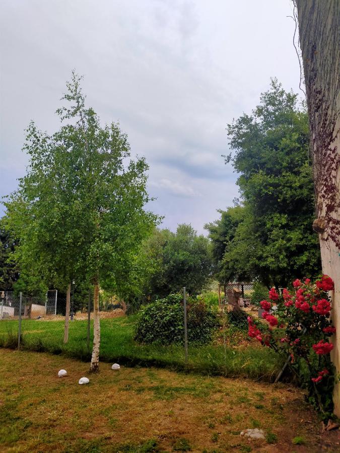 Albergue Casa Baztan Uterga Exterior foto
